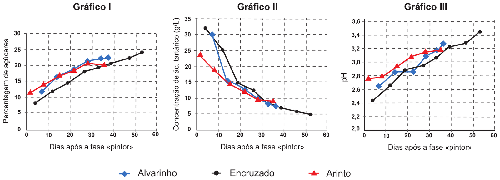 Três gráficos de linhas lado a lado, cada um com o seu título por cima («Gráfico I», «Gráfico II», «Gráfico III»), e uma legenda comum por baixo dos três. Gráfico I: Gráfico de linhas, com pontos marcados, sobre uma grelha tracejada. Eixo vertical: «Percentagem de açúcares», de 0 a 30, de 5 em 5. Eixo horizontal: «Dias após a fase «pintor»», de 0 a 60, de 10 em 10. Três linhas: Alvarinho (azul, losangos) — de cerca de 12 (dia 7) a 16 (dia 14), 19 (dia 22), 21 (dia 28), 22 (dia 34) e 22,5 (dia 38); Encruzado (preto, círculos) — de cerca de 8 (dia 4) a 12 (dia 12), 14,5 (dia 19), 18 (dia 27), 19,5 (dia 33), 20,5 (dia 39), 22 (dia 47) e 24 (dia 53); Arinto (vermelho, triângulos) — de cerca de 11,5 (dia 2) a 14 (dia 8), 17 (dia 15), 18,5 (dia 22), 21 (dia 28) e 20 (dia 36). Gráfico II: Gráfico de linhas, com pontos marcados, sobre uma grelha tracejada. Eixo vertical: «Concentração de ác. tartárico (g/L)», de 0 a 35, de 5 em 5. Eixo horizontal: «Dias após a fase «pintor»», de 0 a 60, de 10 em 10. Três linhas, todas a descer: Alvarinho (azul, losangos) — de cerca de 30 (dia 7) a 15,5 (dia 14), 13 (dia 22), 10 (dia 28), 8 (dia 33) e 7,5 (dia 36); Encruzado (preto, círculos) — de cerca de 32 (dia 4) a 25 (dia 12), 14,5 (dia 19), 12,5 (dia 26), 9 (dia 31), 7 (dia 39), 5,5 (dia 46) e 4,8 (dia 53); Arinto (vermelho, triângulos) — de cerca de 23,5 (dia 2) a 19 (dia 8), 14,5 (dia 15), 12 (dia 22), 9,5 (dia 28) e 9 (dia 35). Gráfico III: Gráfico de linhas, com pontos marcados, sobre uma grelha tracejada. Eixo vertical: «pH», de 2,0 a 3,6, de 0,2 em 0,2. Eixo horizontal: «Dias após a fase «pintor»», de 0 a 60, de 10 em 10. Três linhas, todas a subir: Alvarinho (azul, losangos) — de cerca de 2,65 (dia 7) a 2,85 (dia 14), 2,85 (dia 22), 3,1 (dia 28), 3,17 (dia 33) e 3,28 (dia 36); Encruzado (preto, círculos) — de cerca de 2,44 (dia 4) a 2,66 (dia 12), 2,88 (dia 19), 2,95 (dia 27), 3,06 (dia 33), 3,22 (dia 39), 3,28 (dia 46) e 3,45 (dia 53); Arinto (vermelho, triângulos) — de cerca de 2,76 (dia 2) a 2,78 (dia 8), 2,94 (dia 15), 3,08 (dia 21), 3,15 (dia 28) e 3,18 (dia 35). Legenda comum aos três gráficos, numa linha: losango azul ligado por uma linha azul — «Alvarinho»; círculo preto ligado por uma linha preta — «Encruzado»; triângulo vermelho ligado por uma linha vermelha — «Arinto».